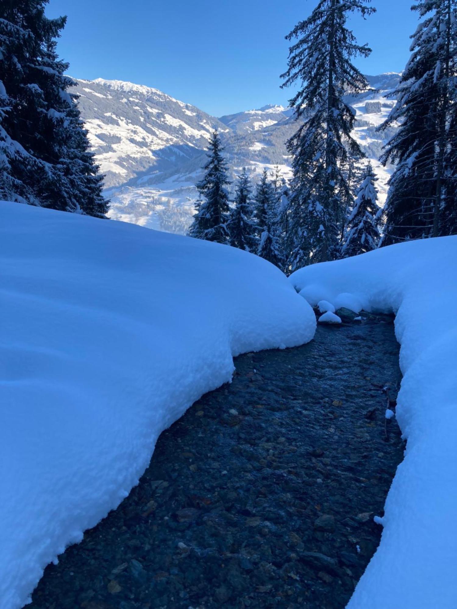 Villa Goass'N Alm Zillertal Hippach Exterior foto